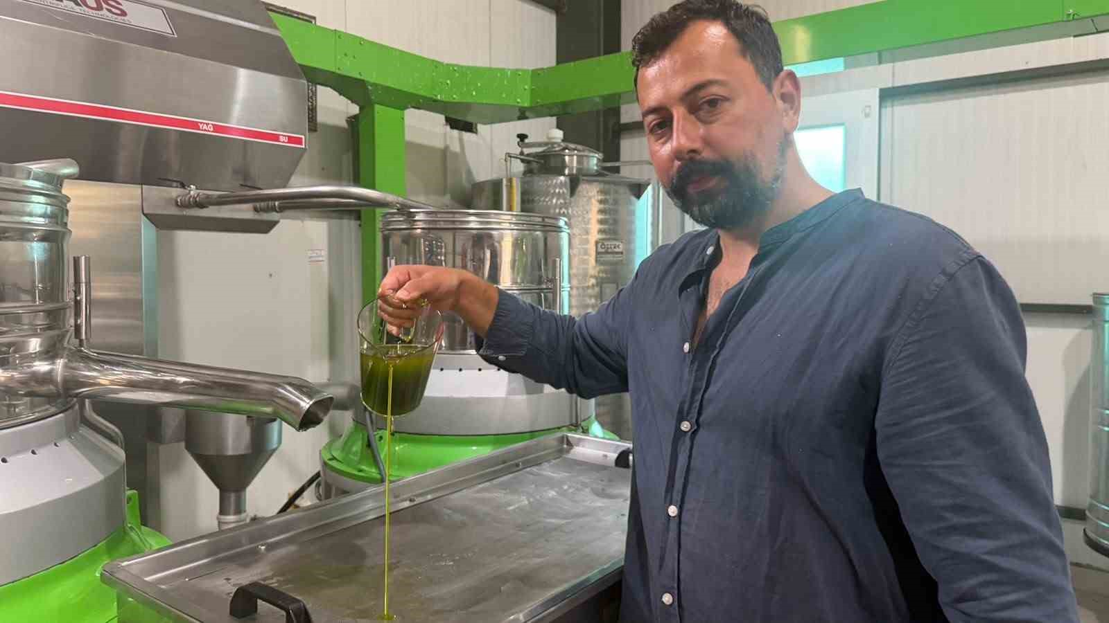 AVRUPA İLAÇ YERİNE İLK HASAT ZEYTİNYAĞI İÇİYOR