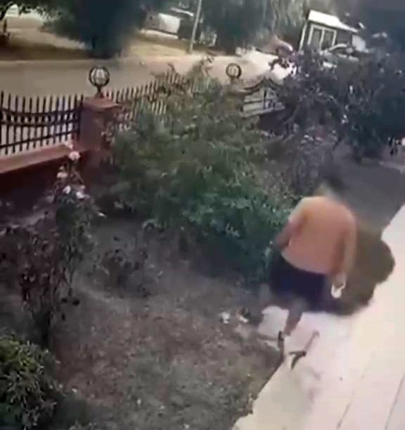 İZMİR’DE KÖPEĞİNİ GEZDİREN ŞAHSIN YAVRULU KEDİYE TEKMELİ SALDIRISI KAMERADA