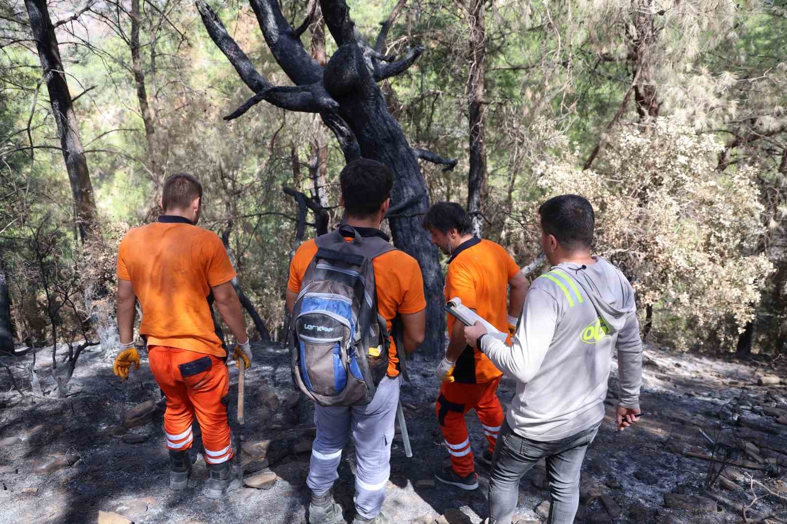 KOZAN’DA YANAN 5 BİN 900 HEKTARLIK ALANDA YENİDEN YEŞİL VATAN MESAİSİ BAŞLADI: AĞAÇLAR TEK TEK DAMGALANIYOR