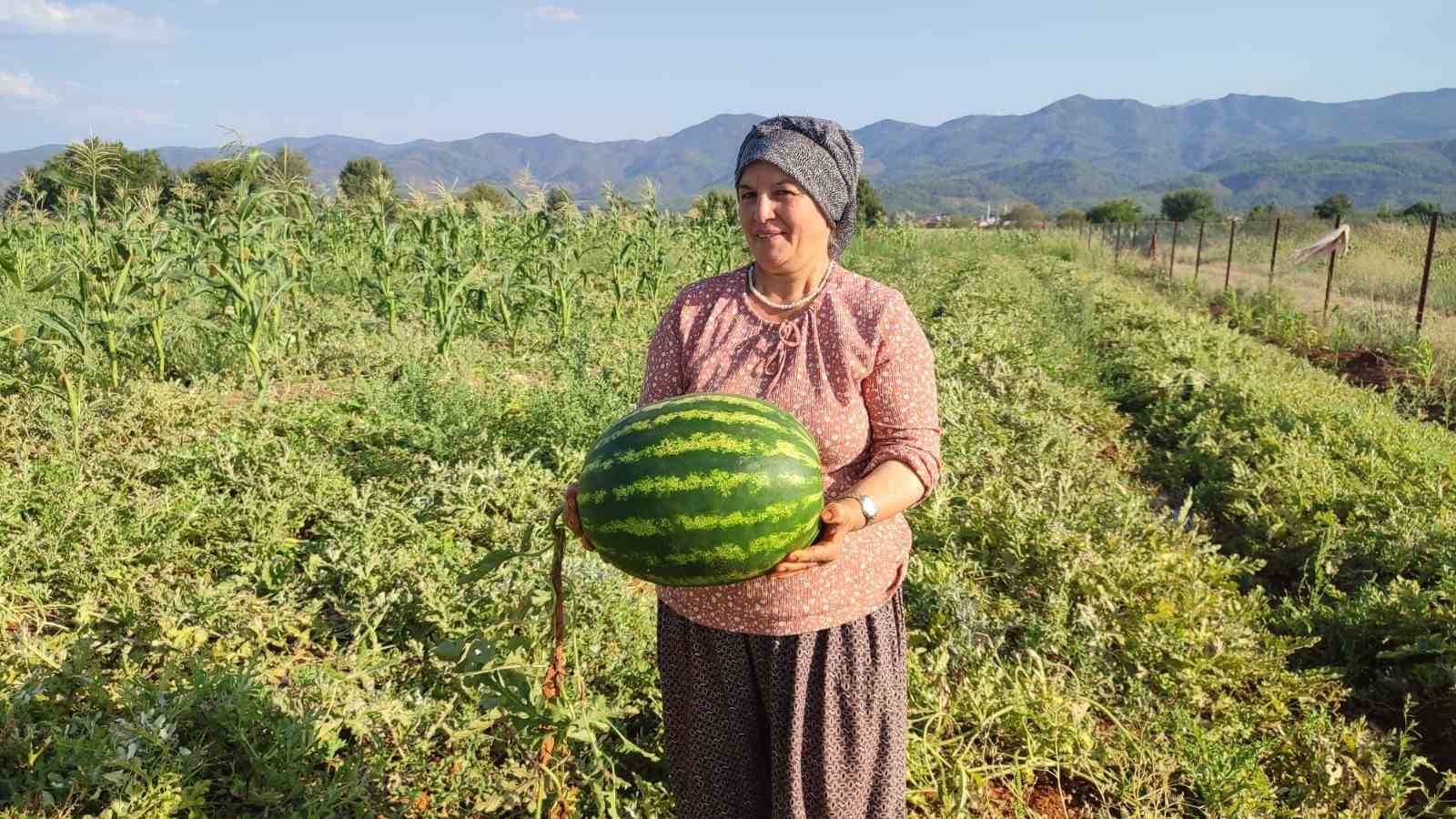 BEYAĞAÇ’TA ATA TOHUMUNDAN GELEN BEREKET