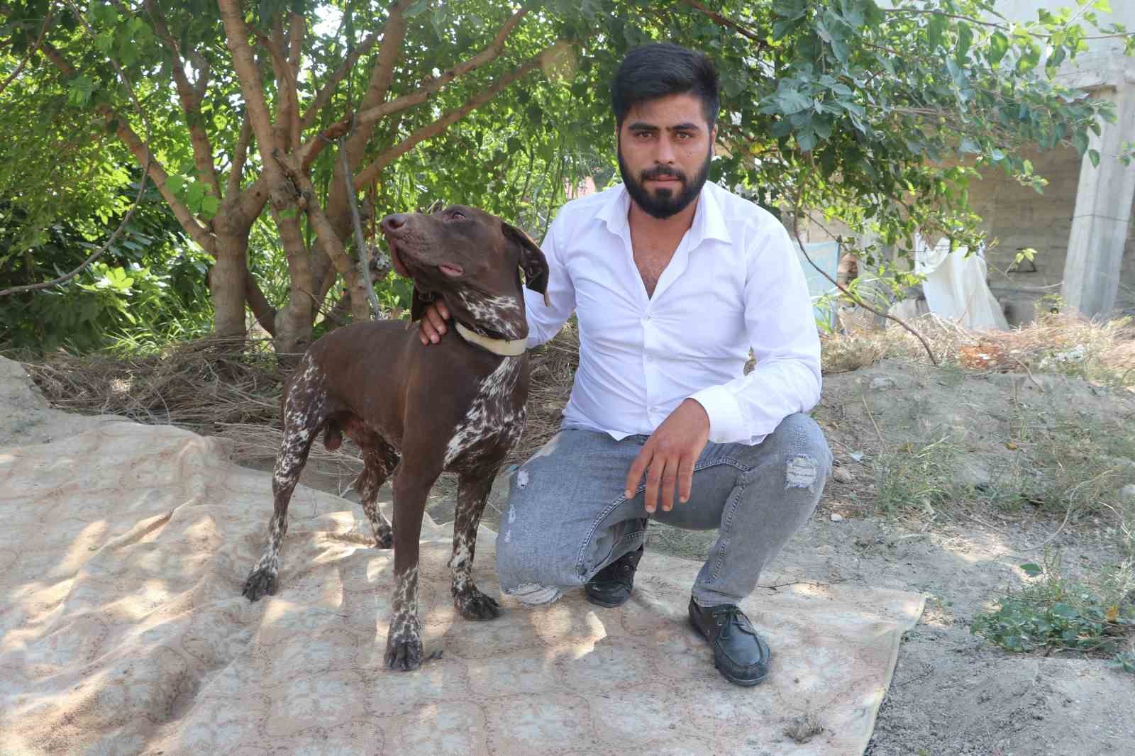 ADANA’DA KÖPEĞE SOPAYLA ŞİDDET GÜVENLİK KAMERASINDA