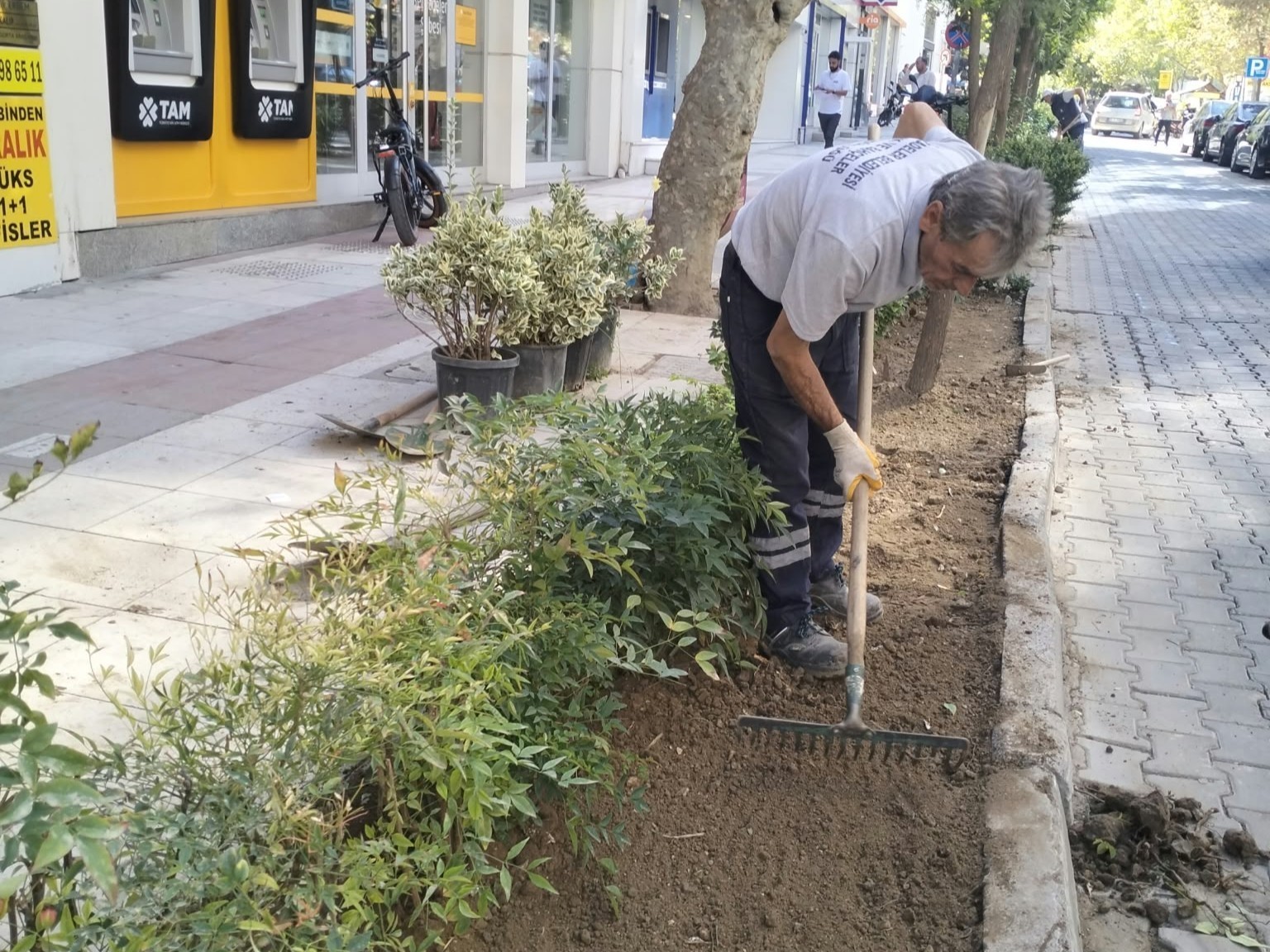 ŞEHZADELER’DE PARKLAR DÖRT MEVSİM BAKIMLI TUTULUYOR
