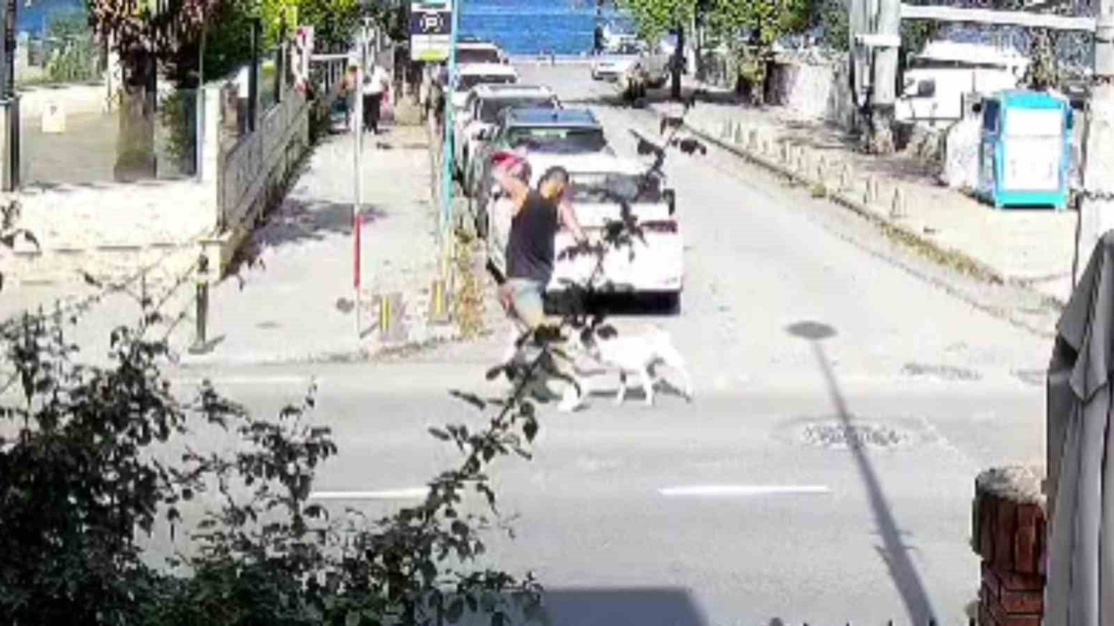 SARIYER’DE BAŞIBOŞ KÖPEKLER VATANDAŞLARI TEDİRGİN EDİYOR