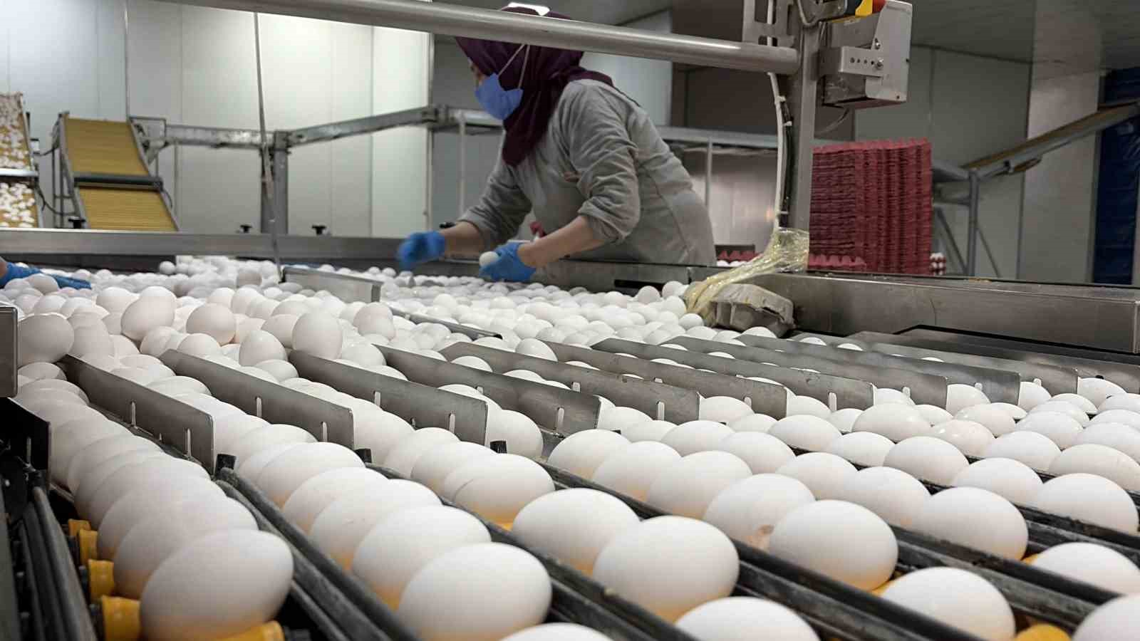 YUMURTA ÜRETİCİLERİNİN GÖZÜ TAHIL KORİDORU’NDA