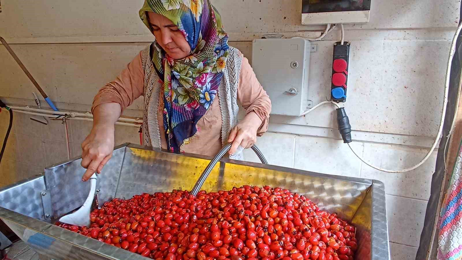 GÜNLER SÜREN İŞLEM DAKİKALARA İNDİ: KUŞBURNU MARMELADI ZAMANI
