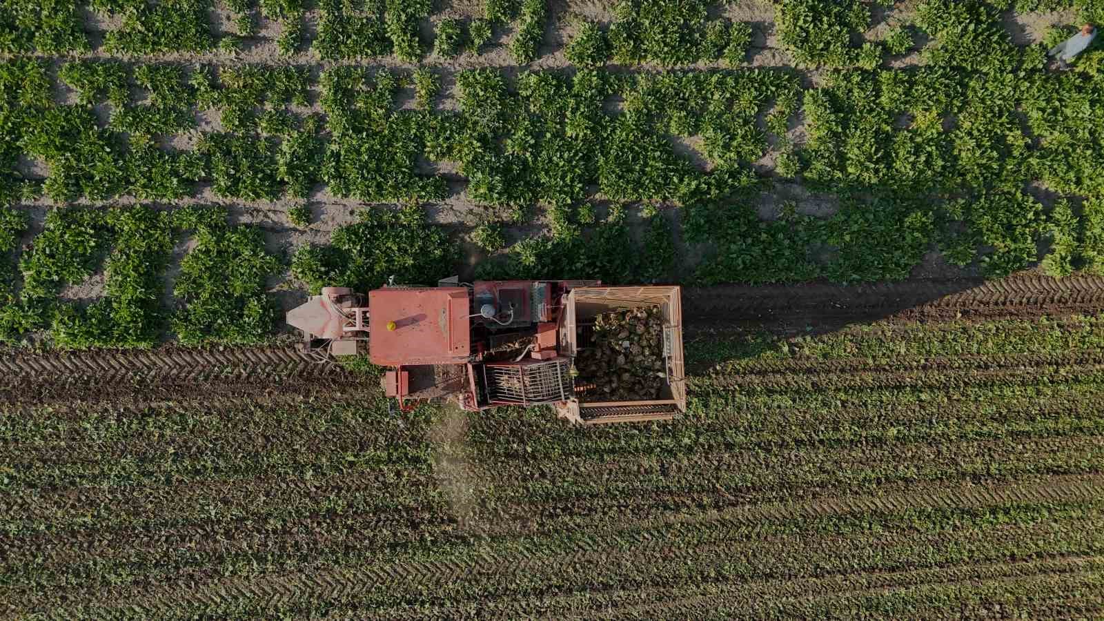 YOZGAT’TA 6 AYLIK EMEĞİN HASADI BAŞLADI
