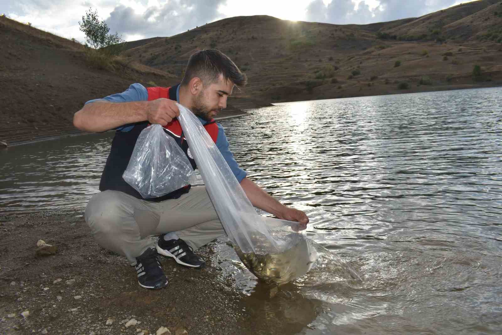 BAYBURT’TAKİ GÖLETLERE 150 BİN SAZAN YAVRUSU BIRAKILDI
