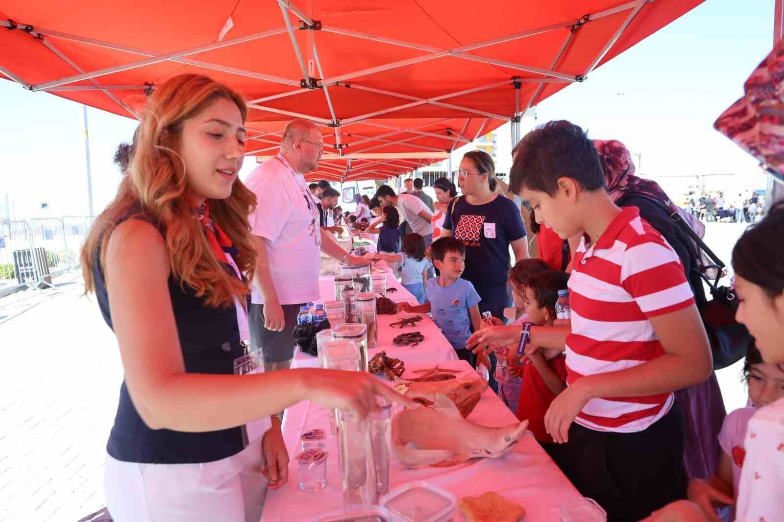 KORKUYLA YAKLAŞIYORLAR, AYRILMAK İSTEMİYORLAR