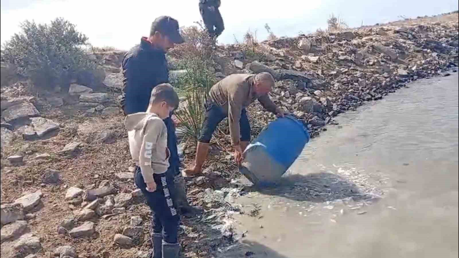 SULAMA KANALLARINDA MAHSUR KALAN BALIKLAR KURTARILDI
