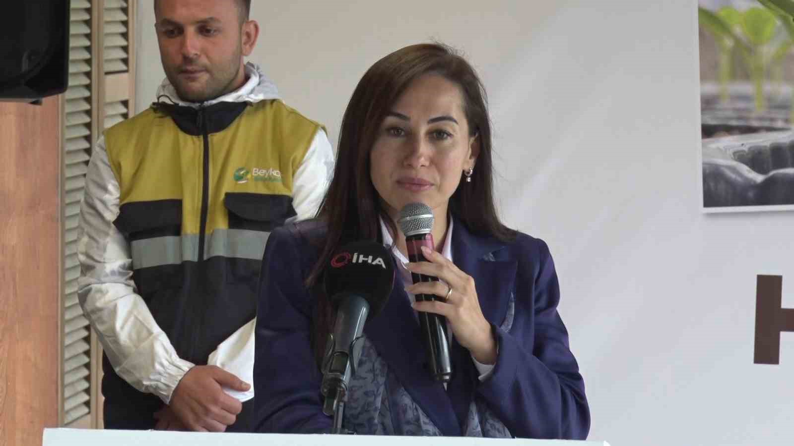 BEYKOZ’DA ÇİFTÇİLERE 625 BİN KIŞLIK FİDE DESTEĞİ