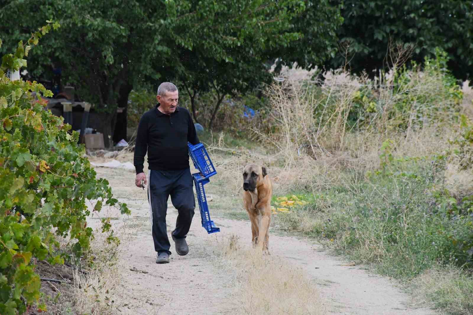 BOZKIRIN ORTASINDA 15 YILLIK EMEK: EMEKLİ ÖĞRETMEN YEŞİL VAHA OLUŞTURDU