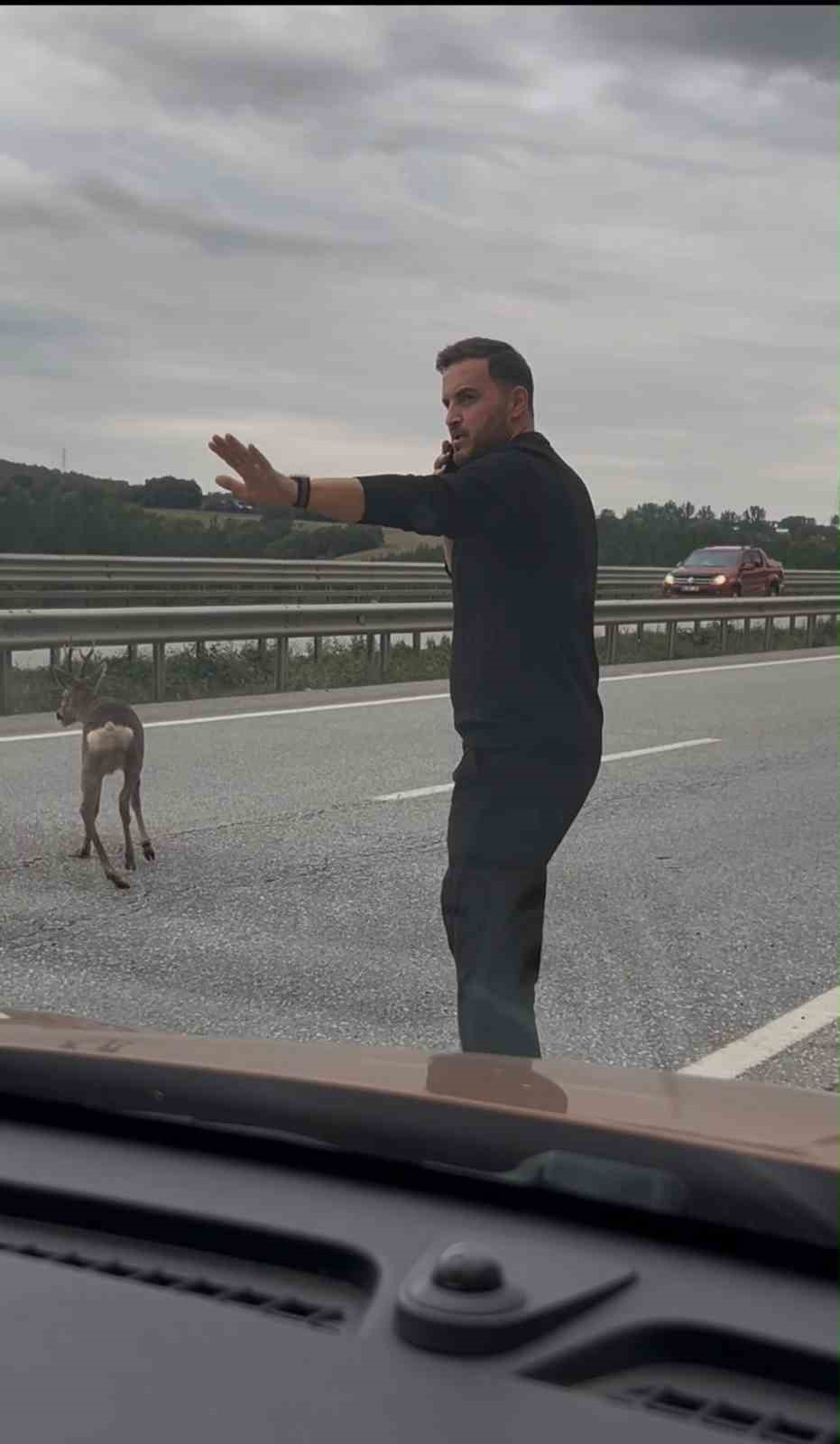 YOLA DÜŞEN GEYİĞİN YARDIMINA KOŞTU