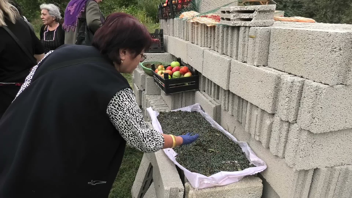 YOZGAT’IN MEŞHUR MENENGİÇ BİTKİSİ KAHVE VE ÇEREZ OLARAK TÜKETİLİYOR