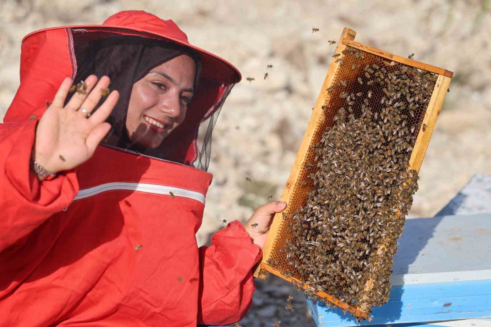 22 YAŞINDA DİPLOMASINI ALDI, 250 KOVANLA BAŞLADIĞI ARICILIKTA BİNE ULAŞTI