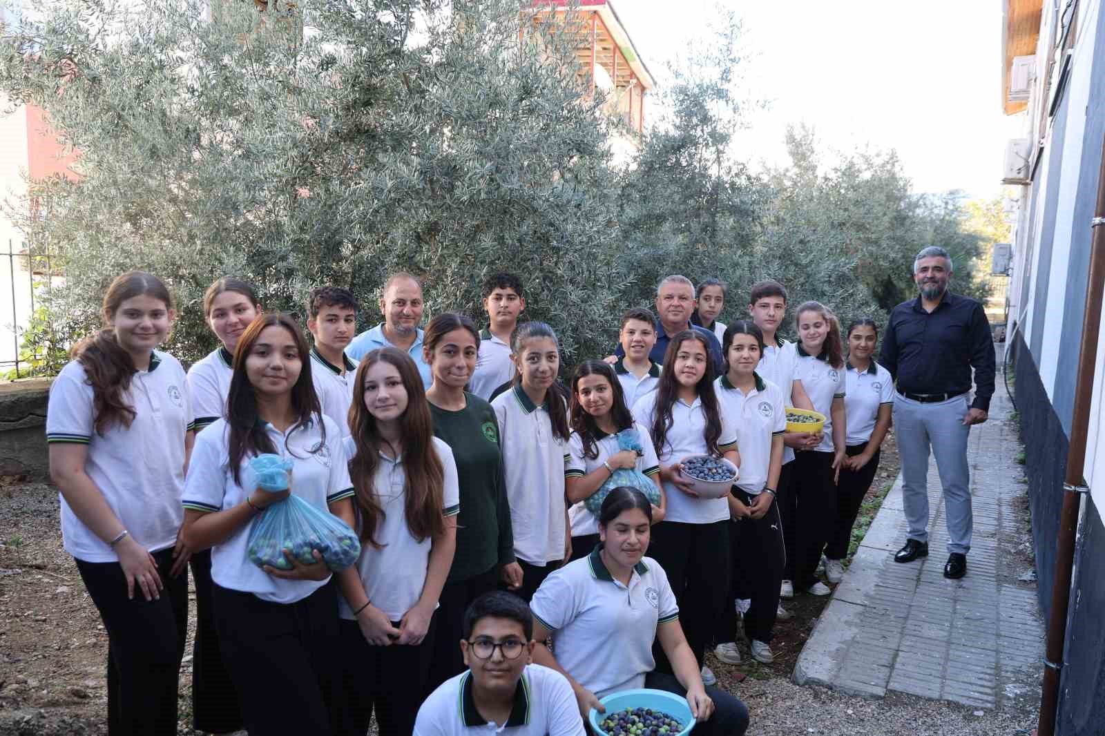 ADANA’DA ÖĞRENCİLER 1. SINIFTA DİKTİKLERİ ZEYTİNLERİN 8. SINIFTA HASADINI YAPTILAR