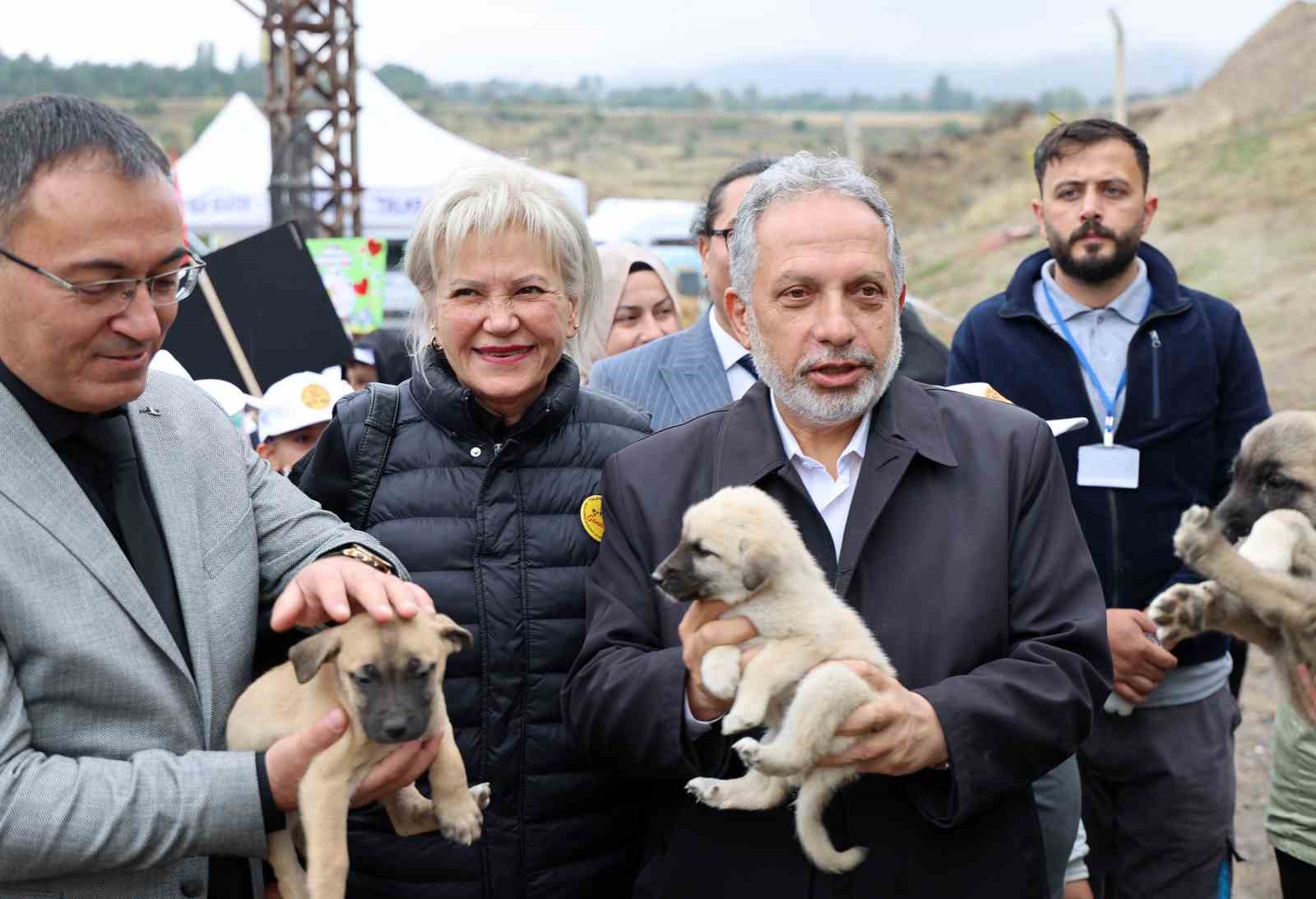 HAYVANLARI KORUMA GÜNÜ, TALAS PATİ EVİ DOĞAL YAŞAM ALANI’NDA KUTLANDI