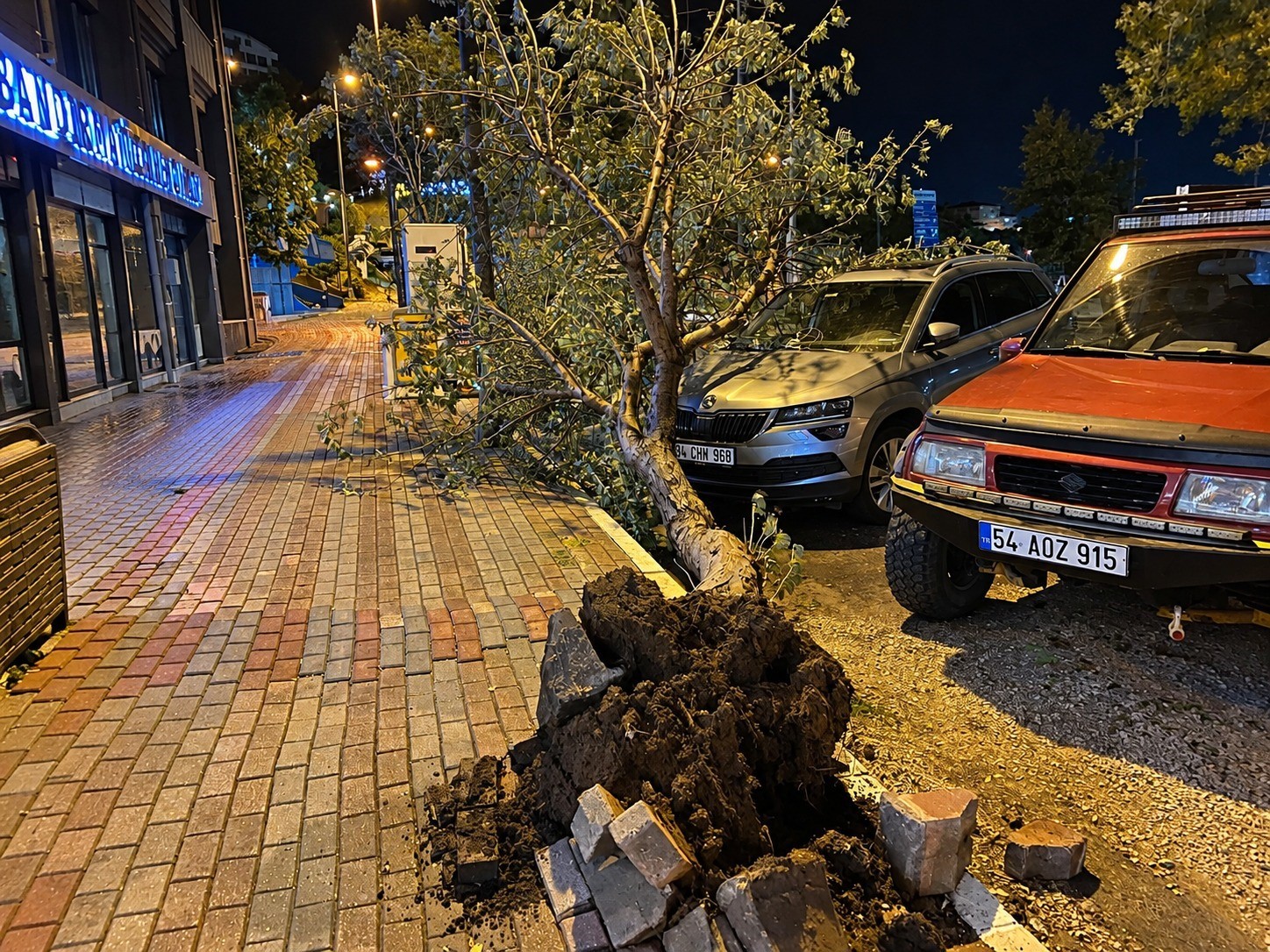 BANDIRMA’DA FIRTINADA KÖKÜNDEN SÖKÜLEN AĞAÇ ARACIN ÜZERİNE DEVRİLDİ