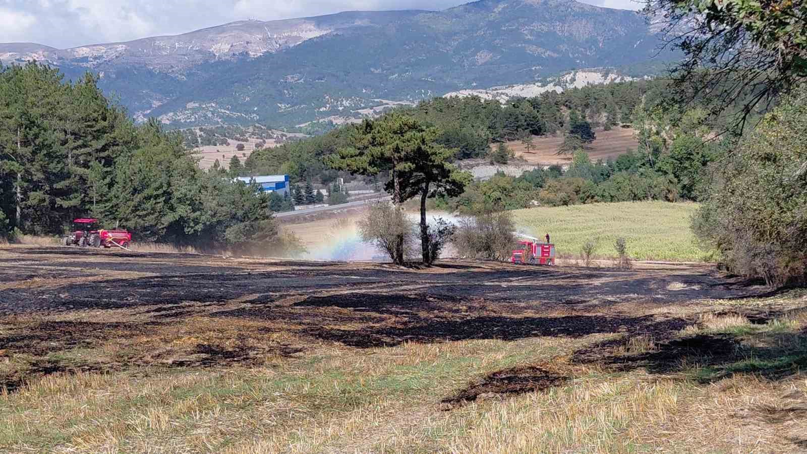 ANIZ YANGINI ORMANA SIÇRADI, KÖYLÜLERİN ERKEN MÜDAHALESİ FACİANIN ÖNÜNE GEÇTİ
