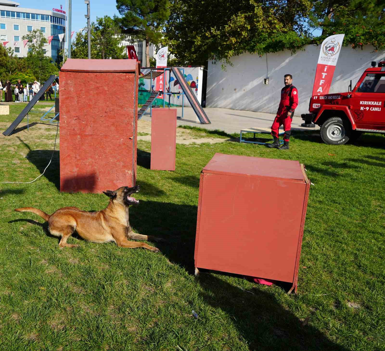 K9 KÖPEKLER HÜNERLERİNİ SERGİLEDİ: SAKLANAN ÇOCUKLARI SANİYELER İÇİNDE BULDULAR
