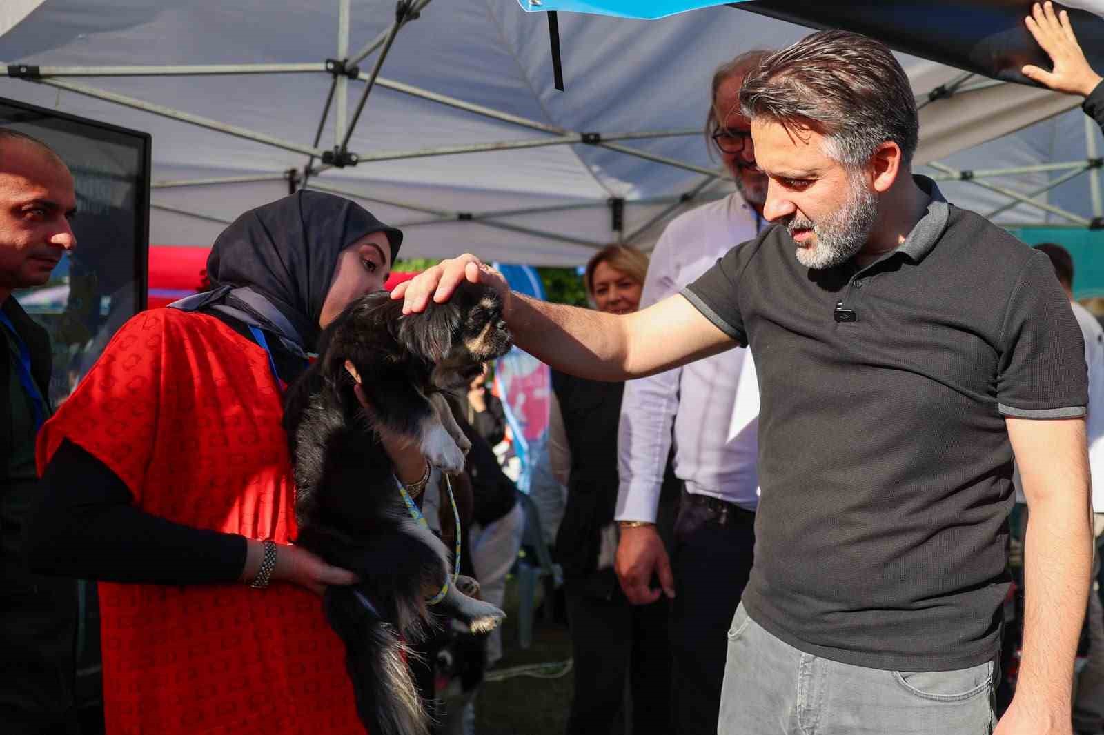 BÜYÜKŞEHİR’DEN CAN DOSTLARI İÇİN YUVA SEFERBERLİĞİ