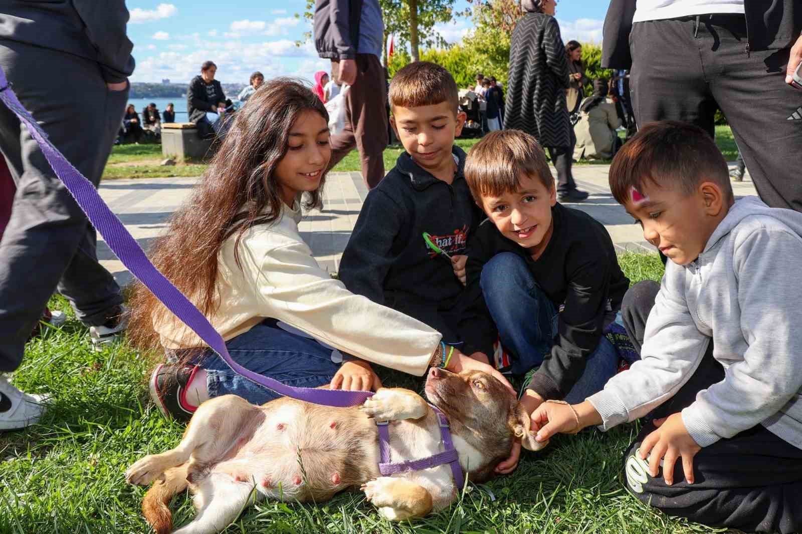 BEYKOZ YAŞAM FESTİVALİ RENKLİ GÖRÜNTÜLERE SAHNE OLDU