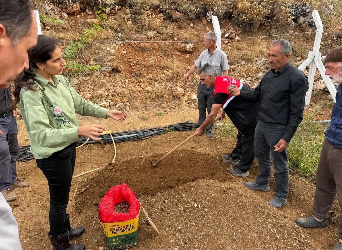 ÇELİKHAN’DA 10 ÜRETİCİYE 90 KİLOGRAM SALEP YUMRUSU DAĞITILDI