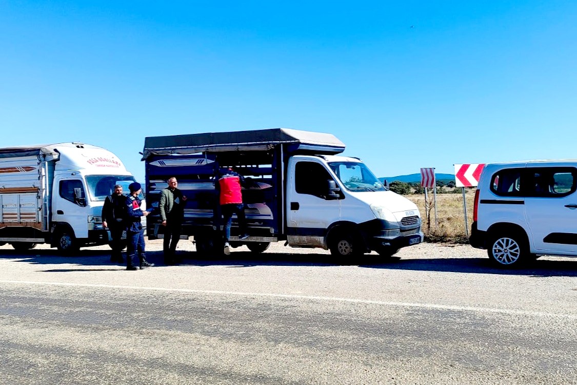 UŞAK’TA HAYVAN SAĞLIĞI İÇİN YOL KONTROLLERİ SÜRÜYOR