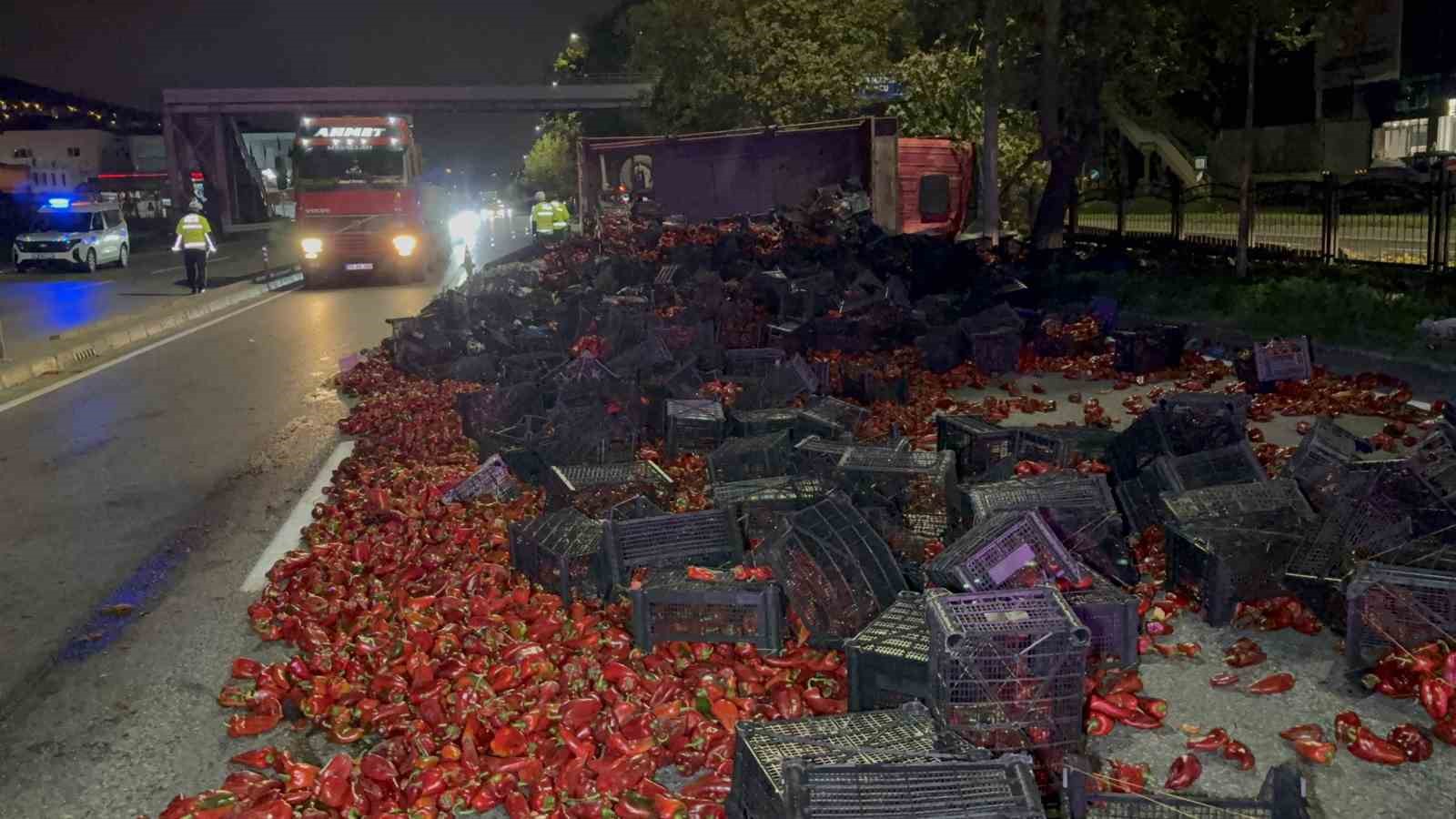 DEVRİLEN KAMYONDAKİ 10 TON KAPYA BİBER YOLA SAÇILDI: 2 YARALI