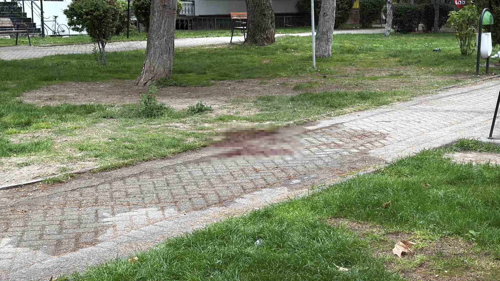 ALKOL ALDIKLARI SIRADA ÇIKAN TARTIŞMADA ARKADAŞINI BIÇAKLA AĞIR YARALAYAN ŞÜPHELİ YAKALANDI