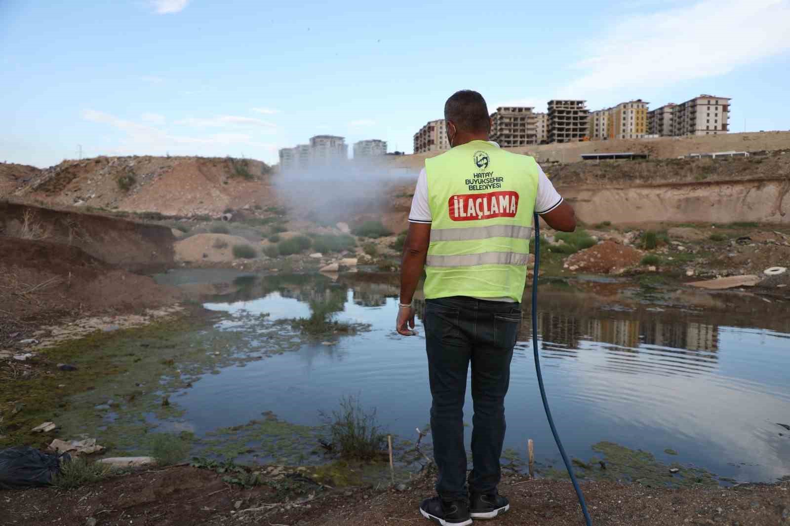 HATAY’DA HAŞERE VE VEKTÖR MÜCADELESİ SÜRÜYOR