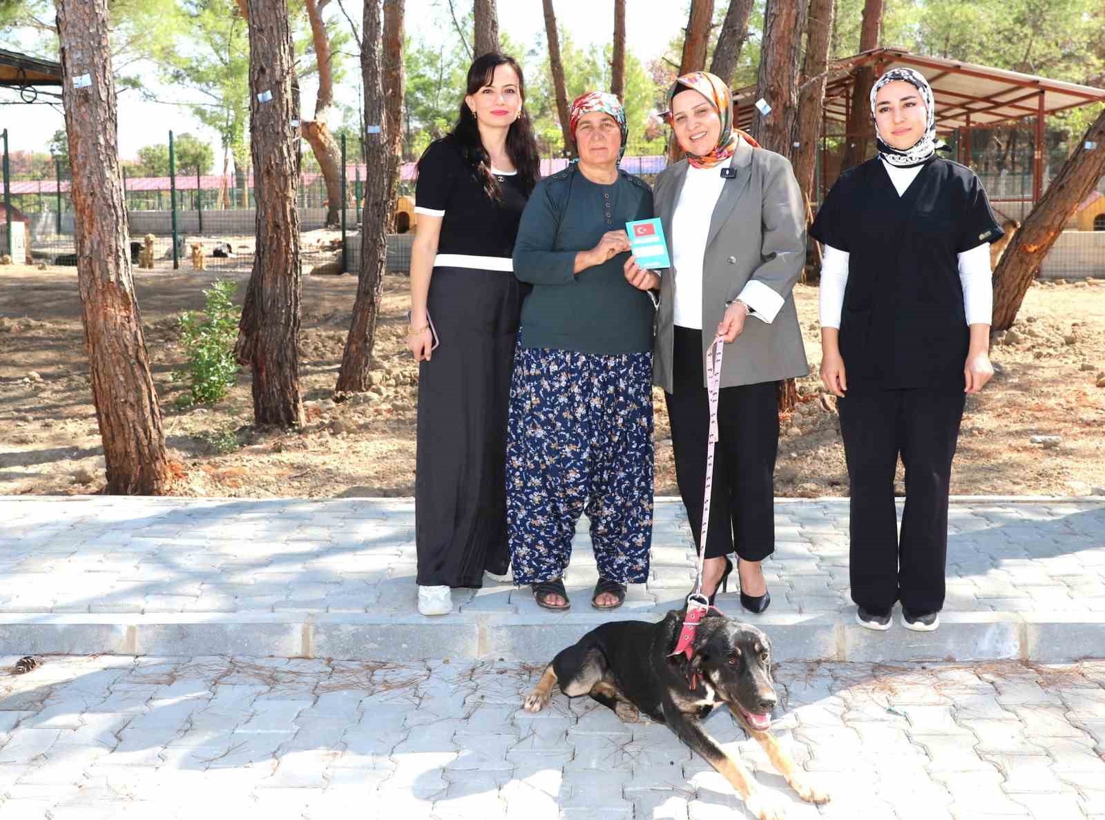 ’KOPİ’ YANGININ ARDINDAN YENİ YUVASINA KAVUŞTU