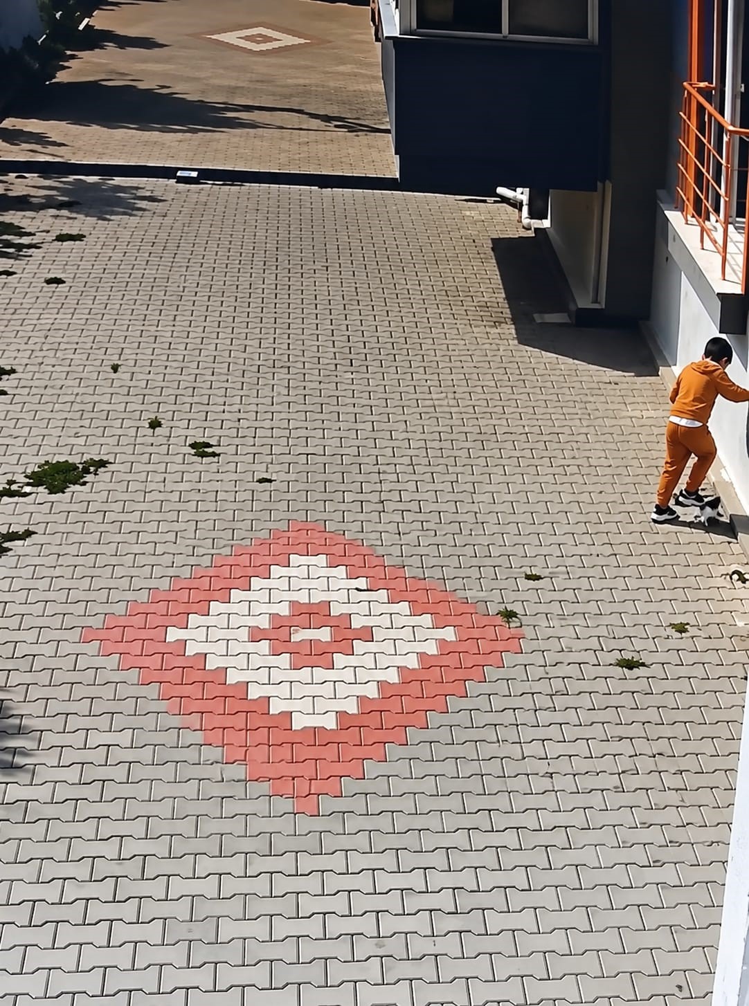 BANDIRMA’DA KEDİYE İŞKENCE İDDİASI TEPKİ ÇEKTİ
