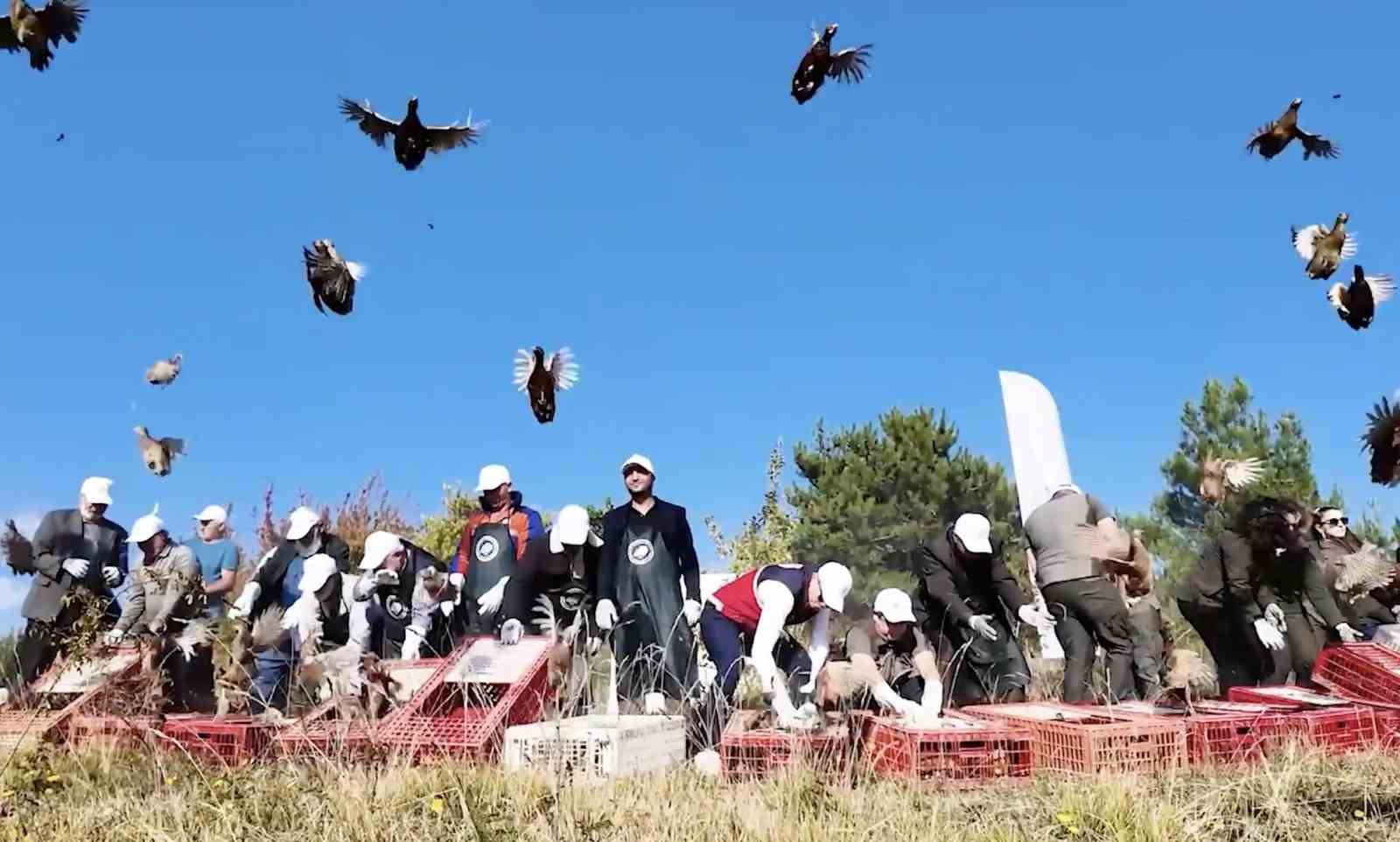 KASTAMONU’DA DOĞAYA 900 SÜLÜN SALINDI