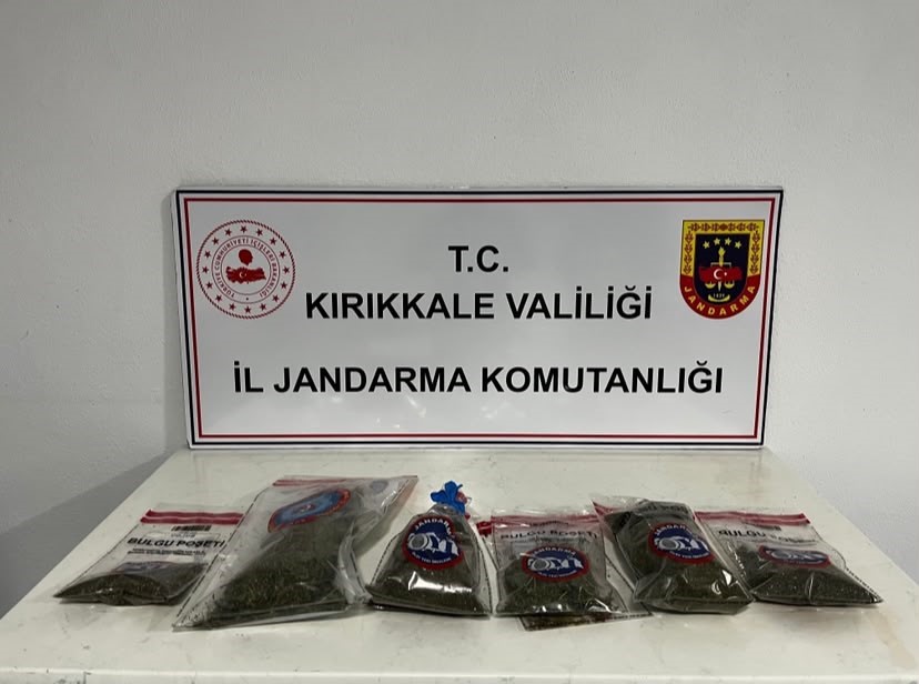 NARKOTİK KÖPEĞİ "EVİN" UYUŞTURUCUYU TESPİT ETTİ: BAHÇEDE KENEVİR VE ESRAR ELE GEÇİRİLDİ