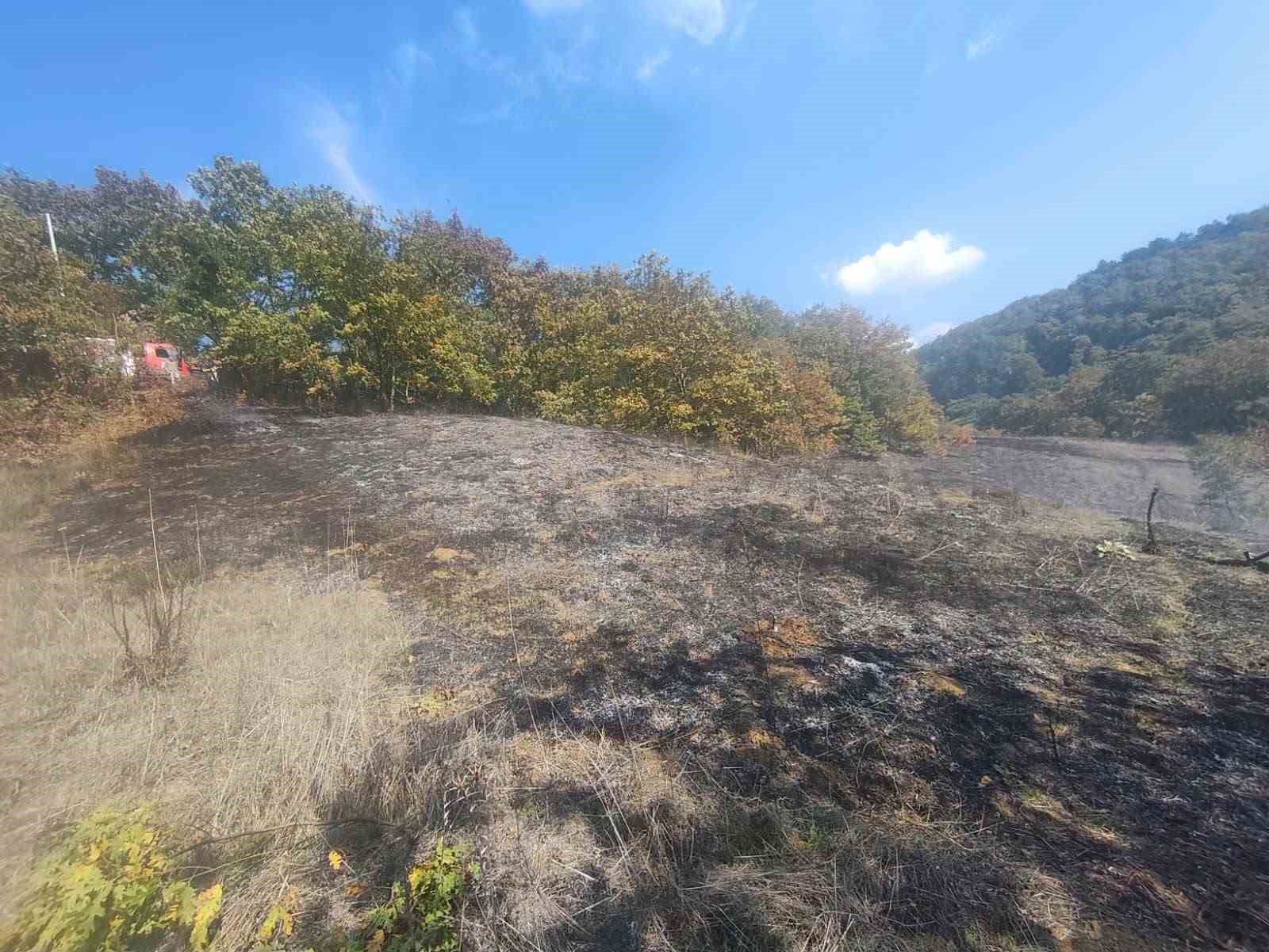 BOLU’DA OT YANGINI BÜYÜMEDEN SÖNDÜRÜLDÜ