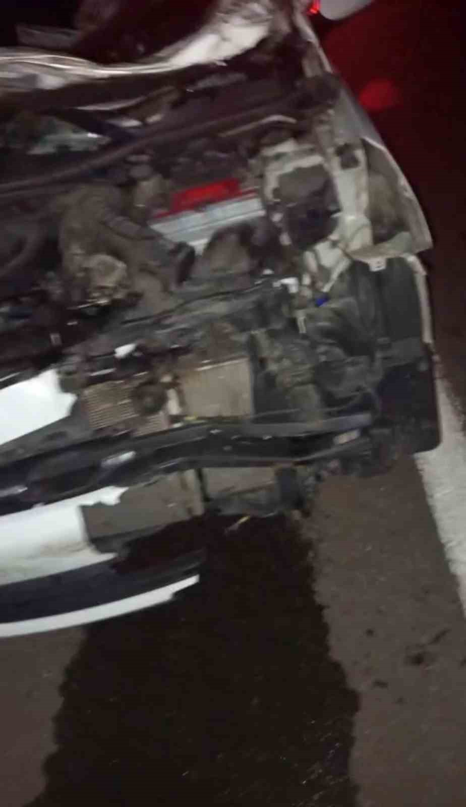 BİNGÖL’DE OTOMOBİL İNEĞE ÇARPTI: 4 YARALI