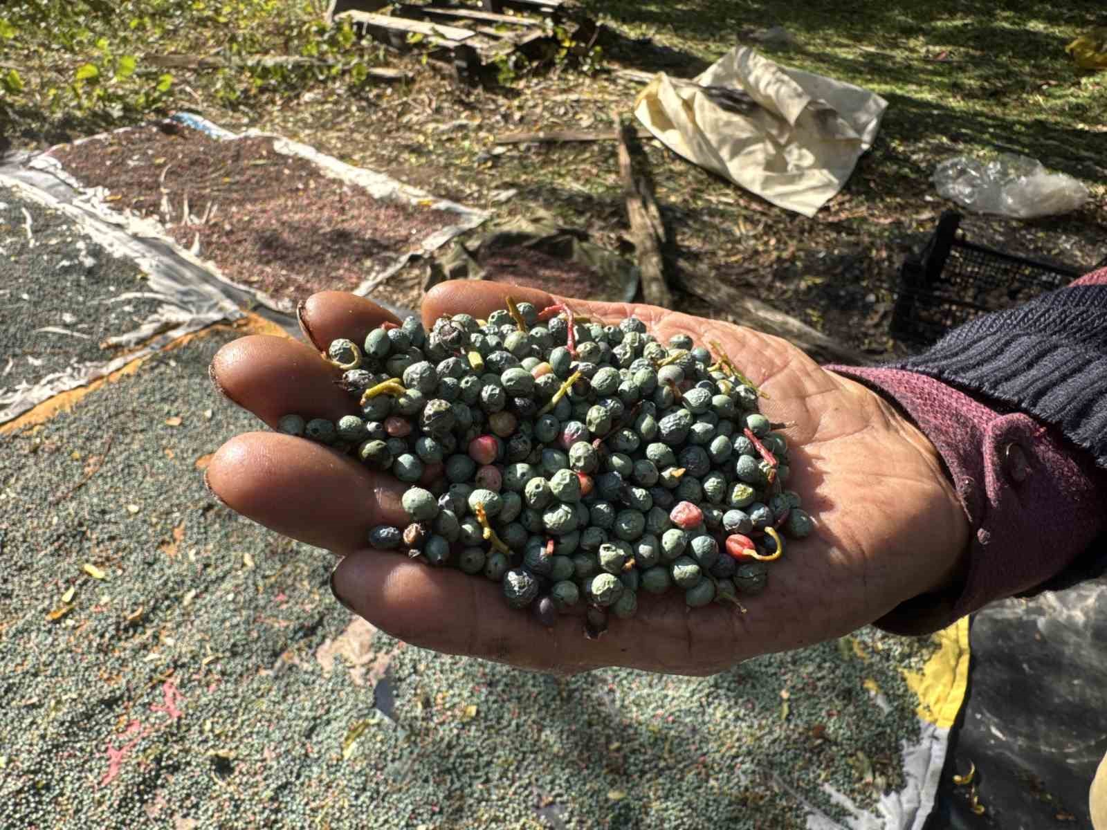 MEYVESİ 300, YAĞI BİN 200 LİRADAN SATILIYOR; POSASI BİLE DEĞERLENDİRİLİYOR