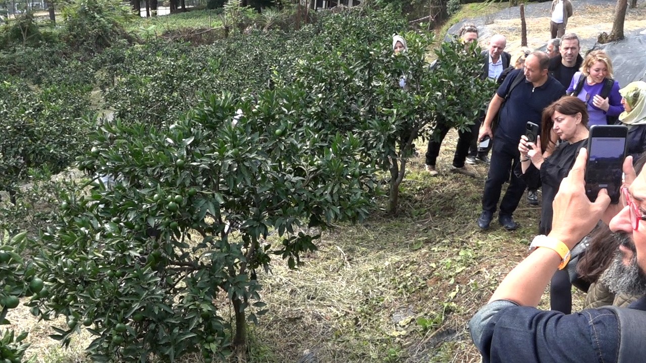RİZE GASTRONOMİSİ SOFRADAN SAĞLIĞA YENİ BİR HİKÂYE YAZIYOR
