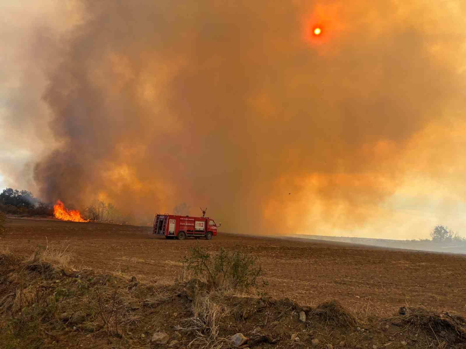 EDİRNE’DE ANIZ YANGINI: KAPLUMBAĞALAR VE YABANİ HAYVANLAR DA ETKİLENDİ
