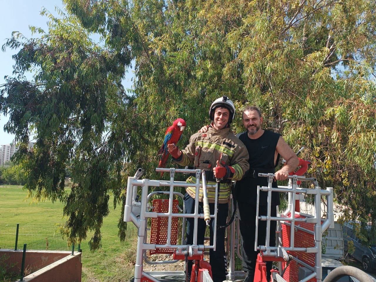 AĞAÇTA MAHSUR KALAN PAPAĞANI İTFAİYE KURTARDI