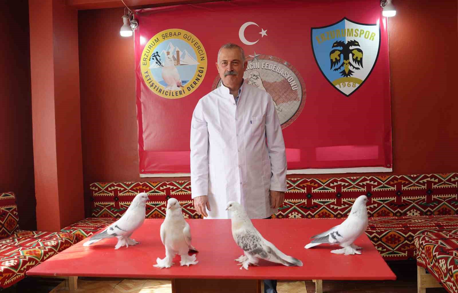 EMEKLİ ASTSUBAY, 40 GÜVERCİNİ İÇİN EV KİRALADI: AYLIK 10 BİN TL HARCIYOR