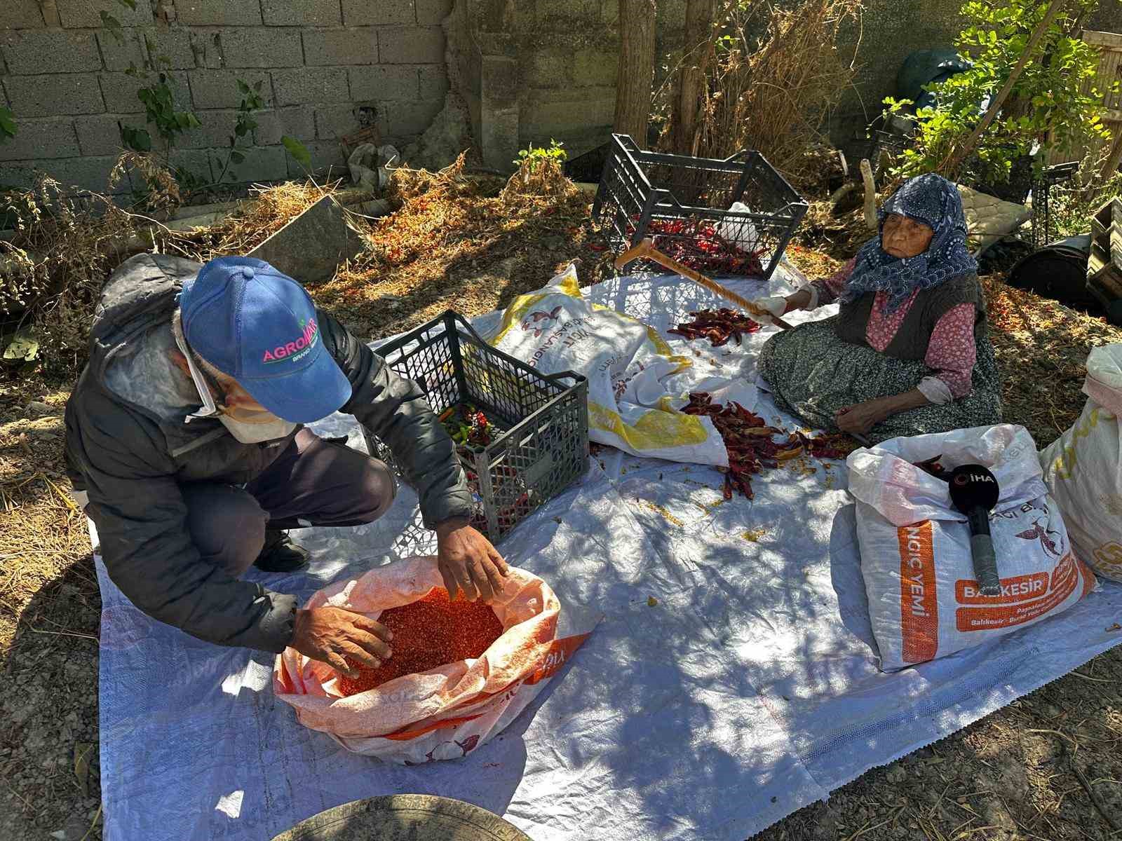 90 YAŞINDAKİ ANNENİN EVLAT SEVGİSİ ACI BİBERİ TATLI KILDI