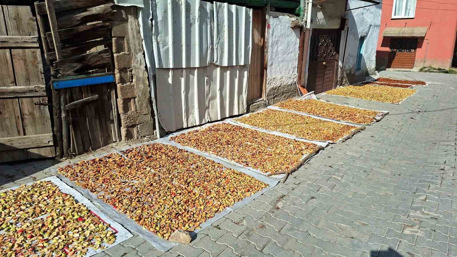 HİSARCIK’TA ELMA KURUSU FİYATI DÜŞTÜ, ÜRETİCİ YÜKSELİŞ BEKLİYOR