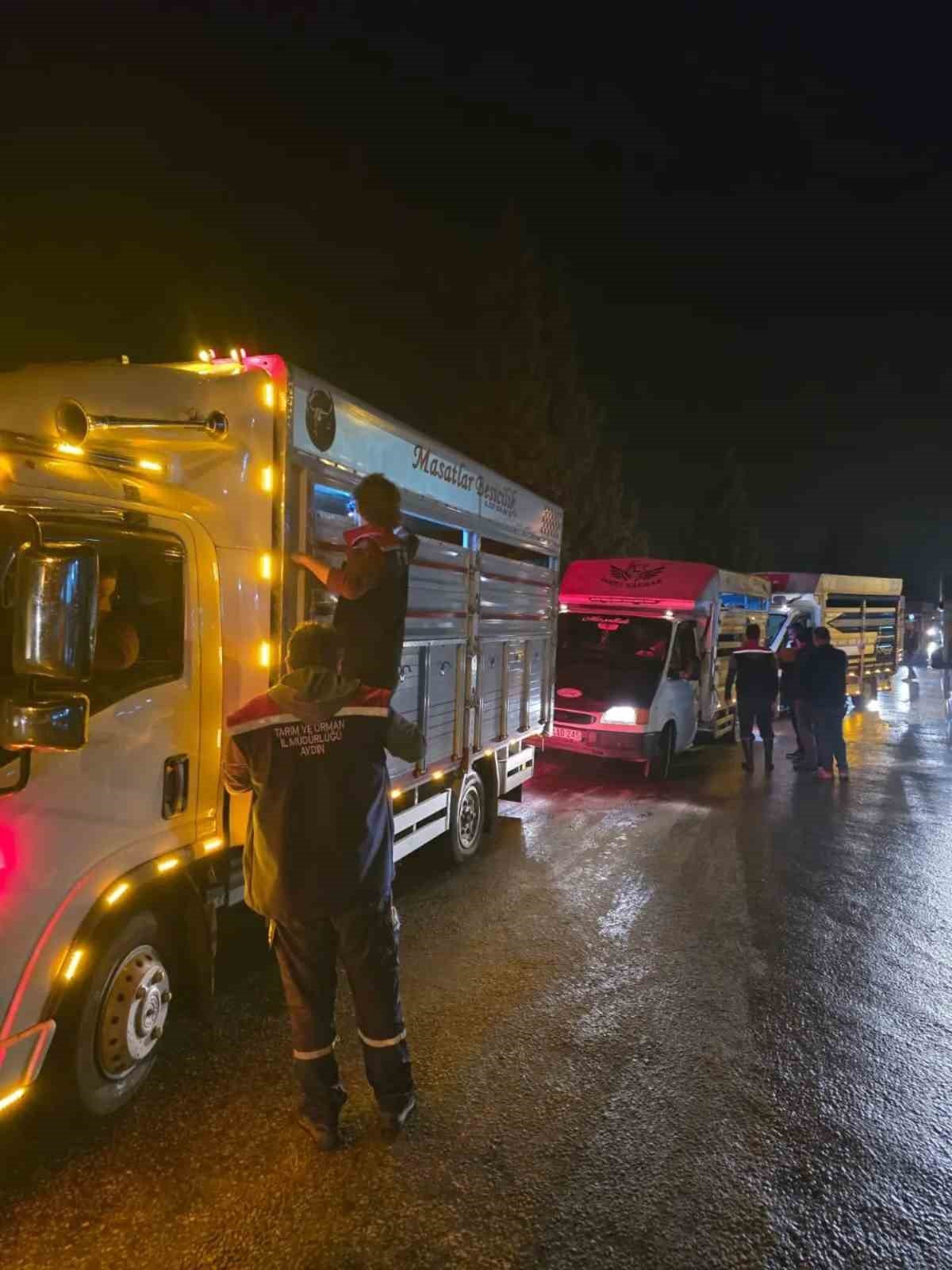 ÇİNE HAYVAN PAZARI DENETİMLERLE YENİDEN AÇILDI