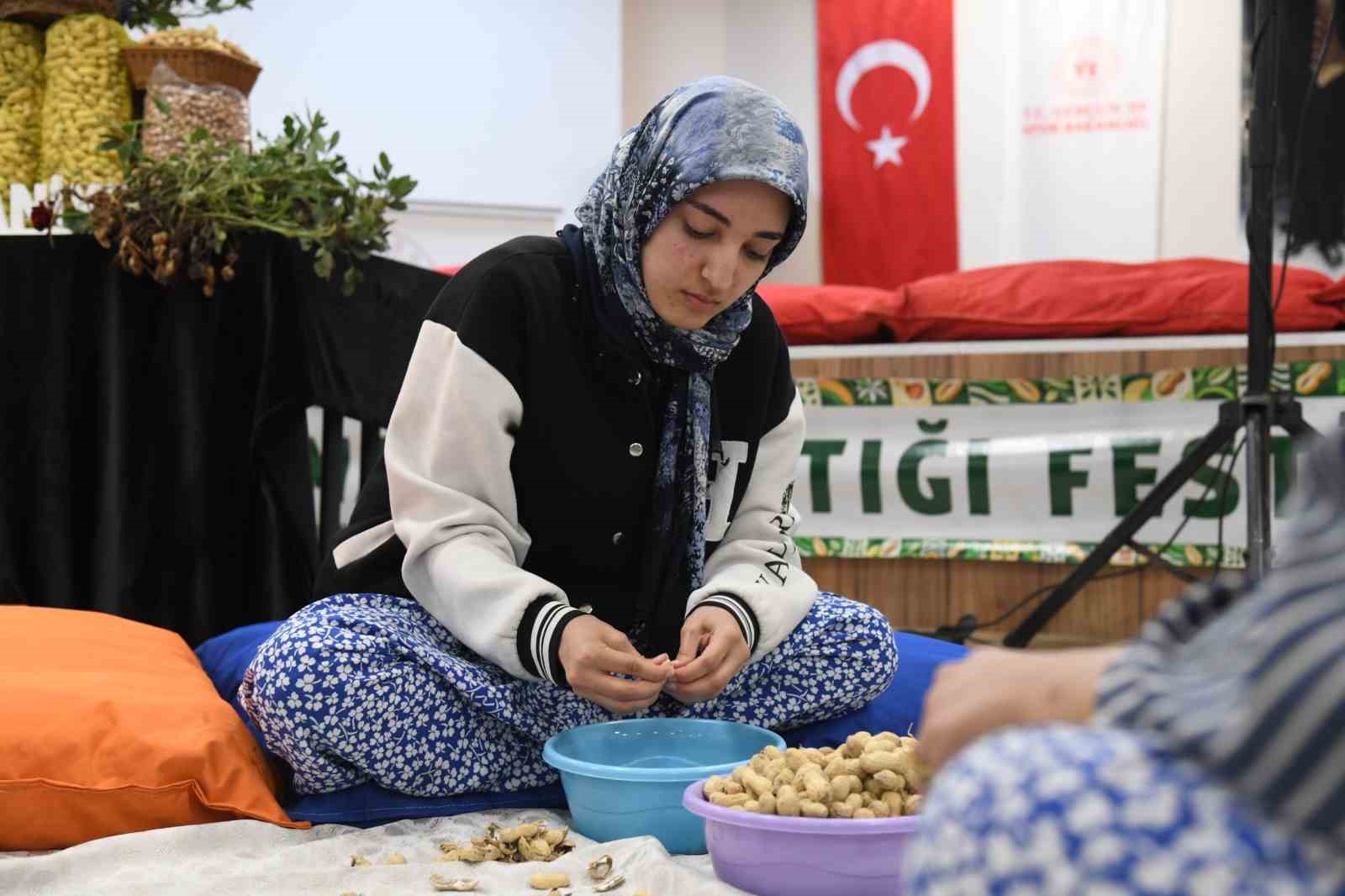 OSMANİYE’DE ÜNİVERSİTELİ KIZLAR FISTIK KIRMA YARIŞMASINDA KIYASIYA MÜCADELE ETTİ