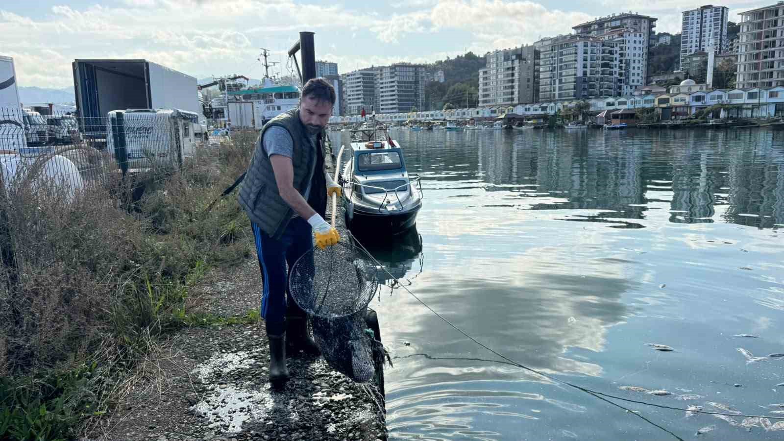 BALIK ÇÖPLÜĞÜNE DÖNEN LİMAN TEMİZLENDİ