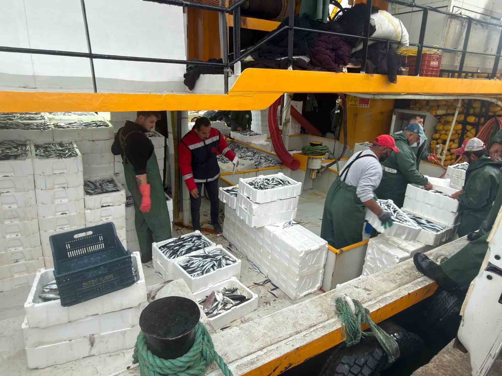 DİDİM’DE HAMSİ KOTASI DENETİMLERİ SÜRÜYOR