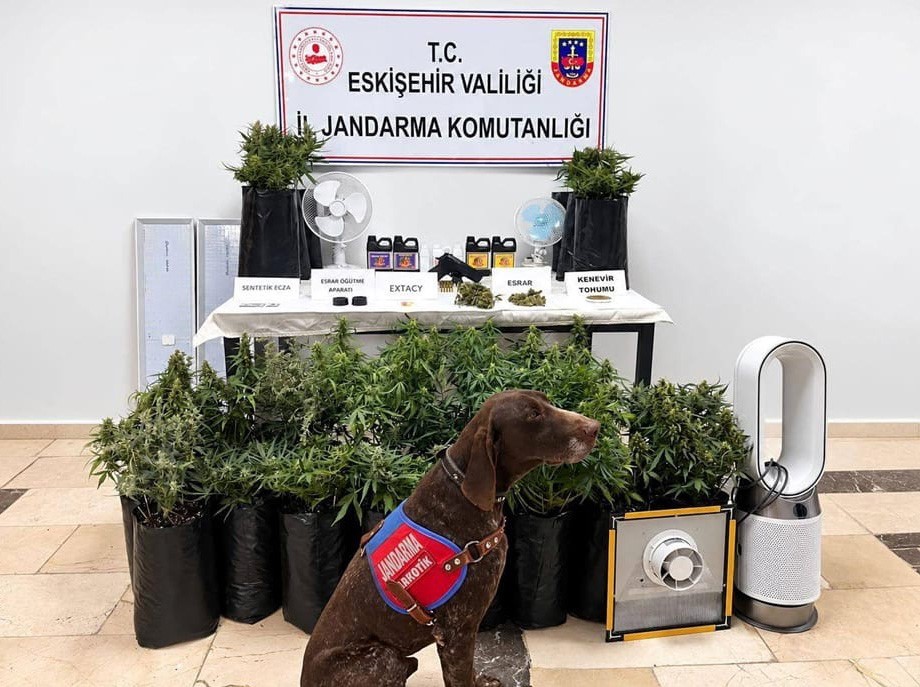 ESKİŞEHİR’DE 21 POŞET KENEVİR VE ÇOK SAYIDA UYUŞTURUCU MADDE JANDARMA TARAFINDAN ELE GEÇİRİLDİ