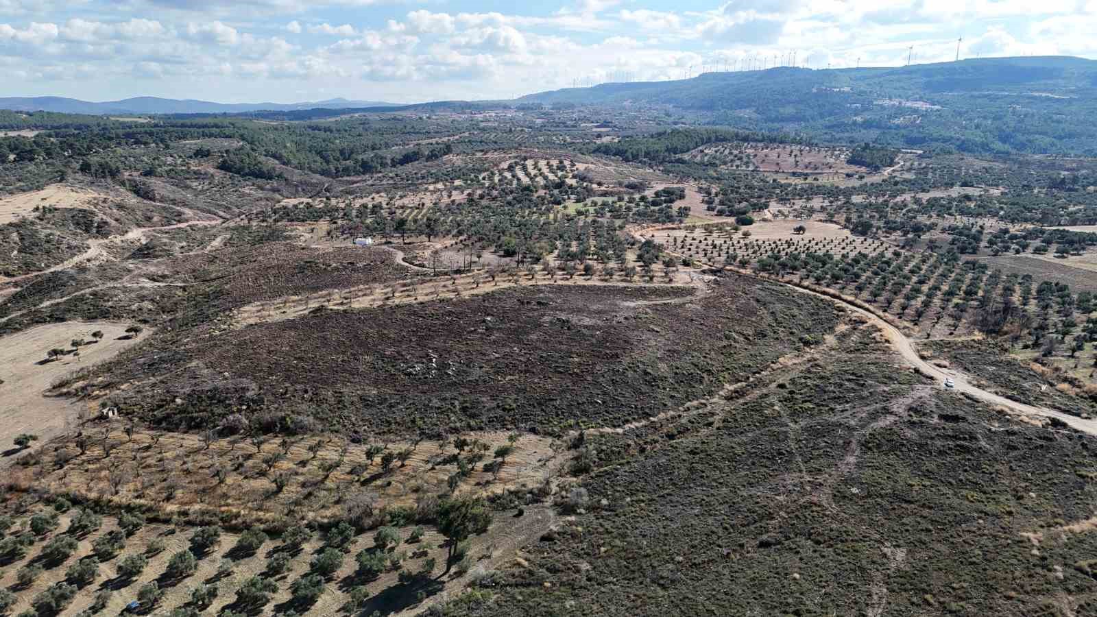ÇANAKKALE’DE YANAN ORMANLAR KÜLLERİNDEN DOĞUYOR