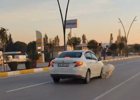 KARAYOLUNA FIRLAYAN 3 KEÇİ ARACIN ÇARPMASI SONUCU TELEF OLDU